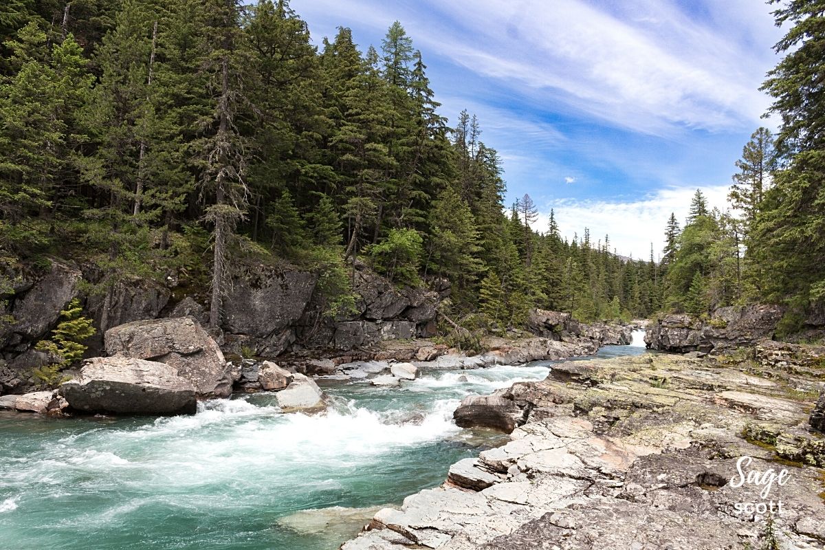 Rushing water runs past tall evergreens at Glacier National Park