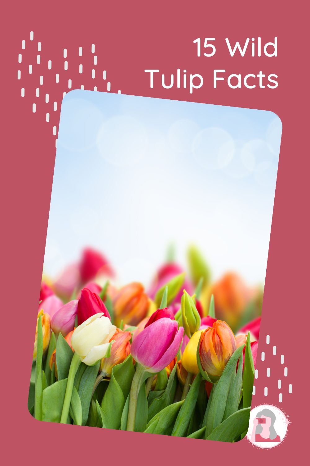 Tulip Facts - Pin 1 - JPG