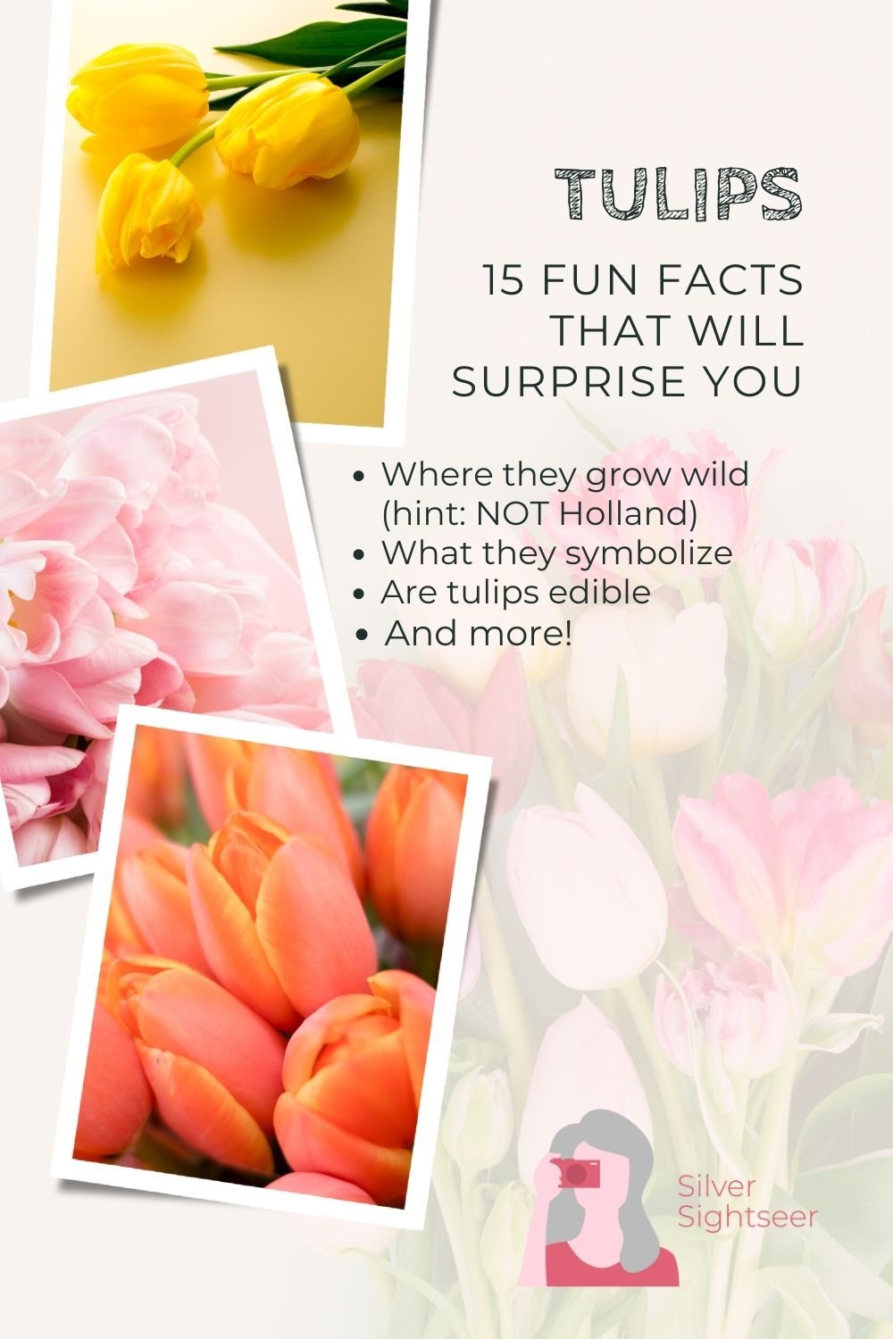 Tulip Facts - Pin 2 - JPG